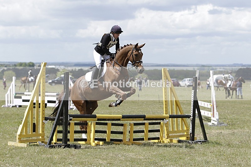 BVHT 140517 N-254 - Class 2 SJ Novice 14/05/17