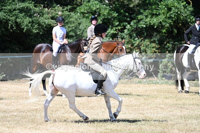 WJ7_3658 - Class 8 Ridden Veterans