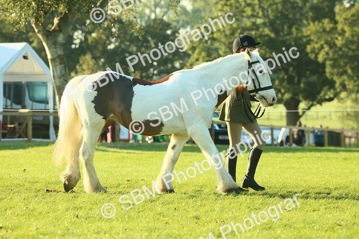 SBM_57287 - S37 - Starters In Hand Showing