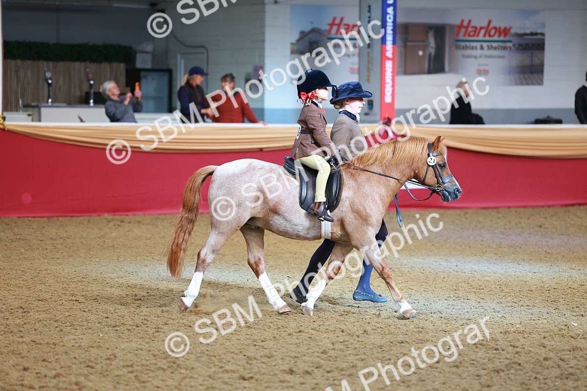 SBM_09533 - Class 102 - HOYS Veteran Qualifier - Ridden Veteran