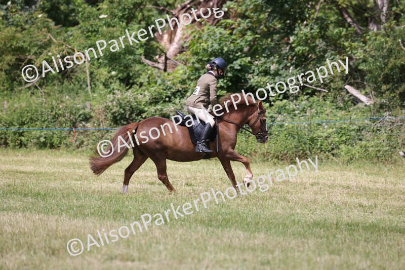 20260614-2177 - Class 21 - Novice Working Hunter Pony