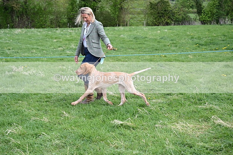 WJ6_8085 - Class 2 Best Pedigree