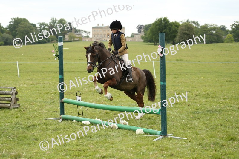 20250517-1144 - Class 21 - Novice Working Hunter