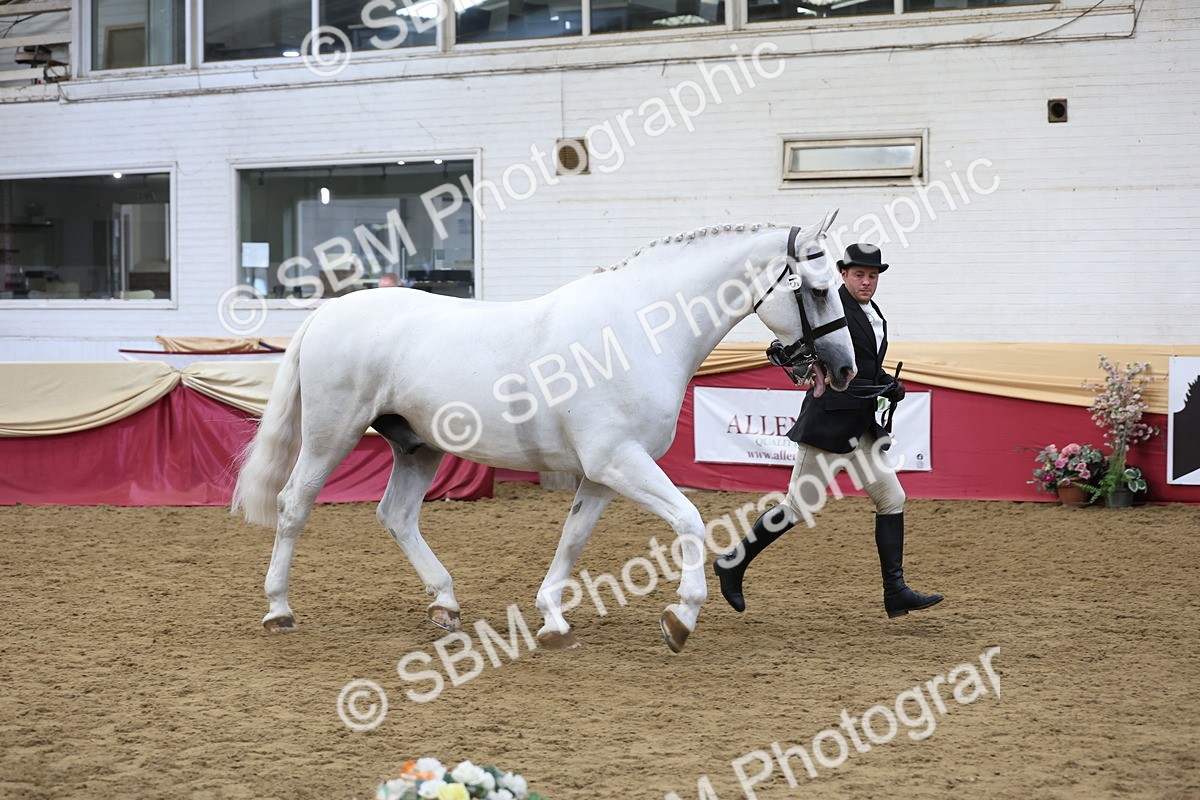 SBM_23675 - class 906 - Supreme Final - Ridden Pre Vet