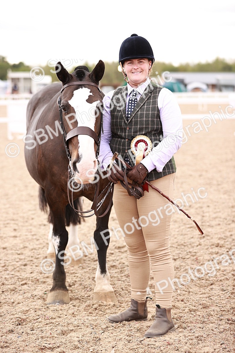 SBM_16152 - Class 411 - Prettiest Mare - (IH or Ridden Adult)