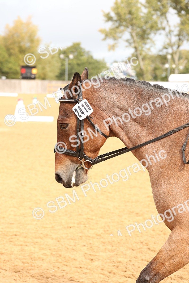 SBM_40591 - D6 - Small Tour Championship Intro 4