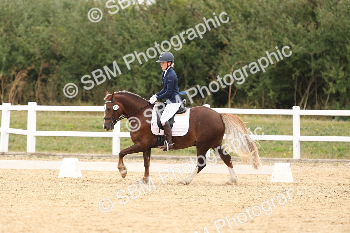 SBM_01052 - Class 8 - Novice 27 Champs