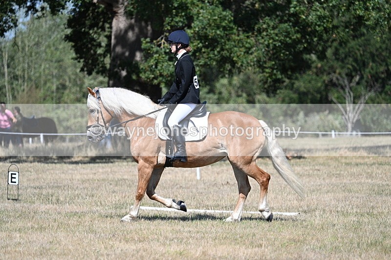 WJ7_0310 - Time 11:33 to 11:44