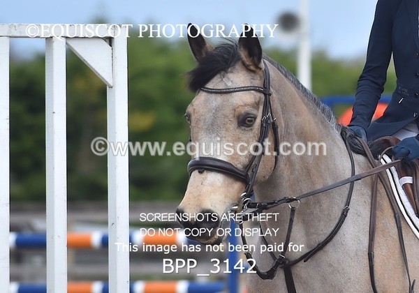 BPP_3142 - CLASS 6 Pony Newcomers/ 1m Open