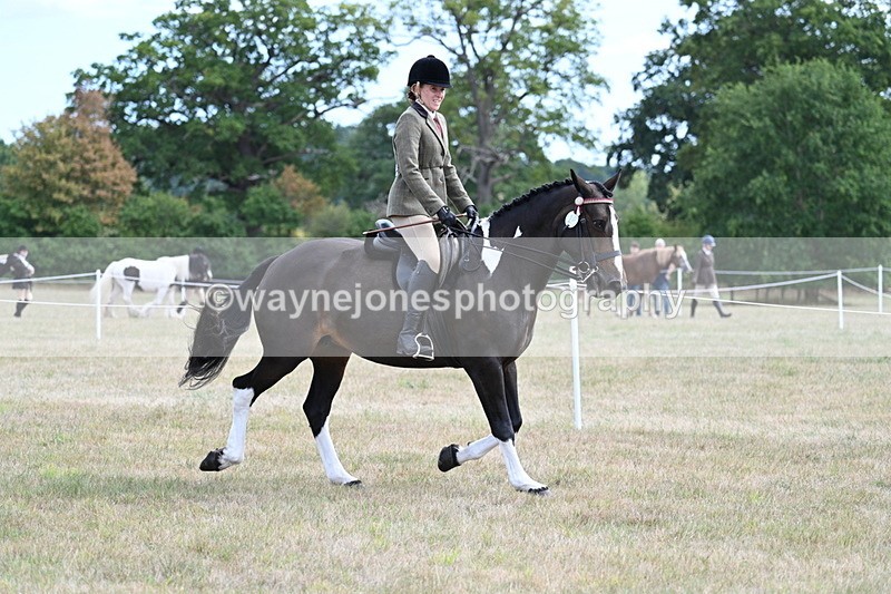 WJ7_5935 - Class 13 Ridden Veterans