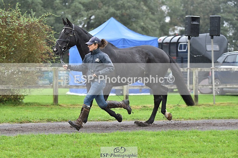 231018-122742-00306 - 037-MISTER.KAI-Hani.Milstein-TrotUp