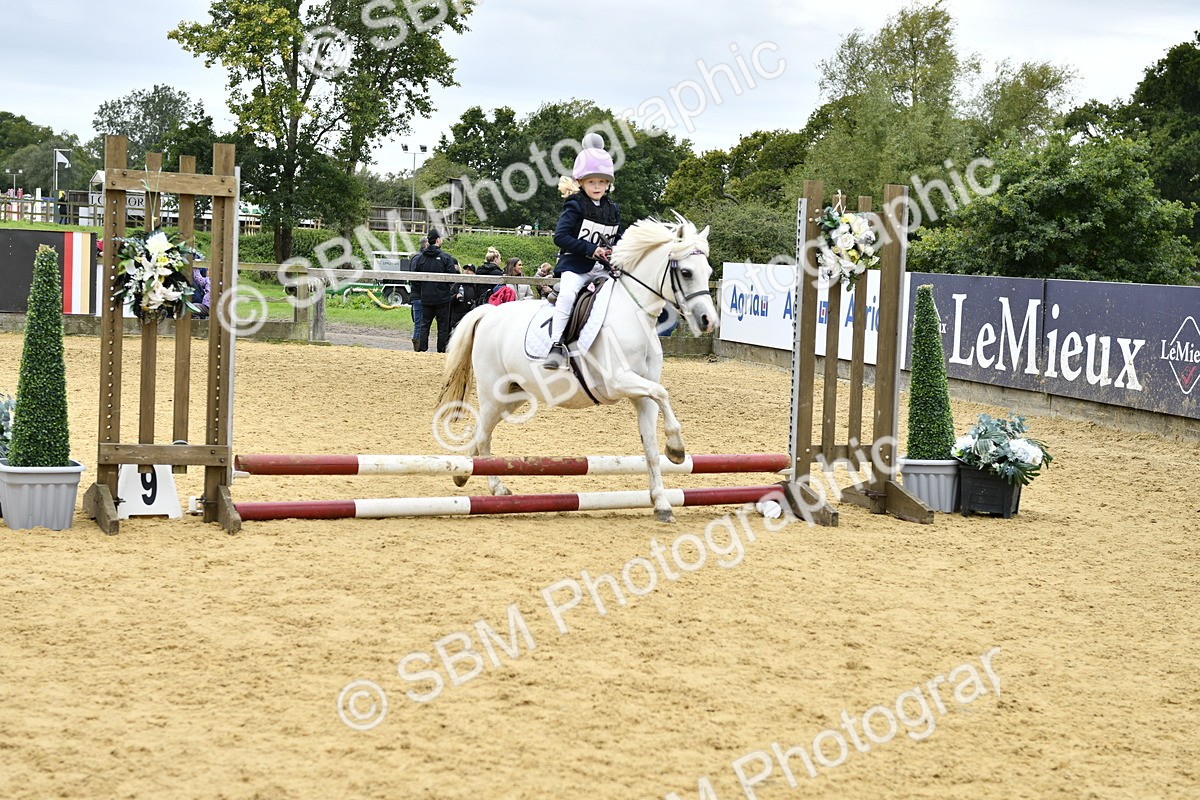 SBM_65483 - J2a mini Tour Junior Pony 30cm Championship