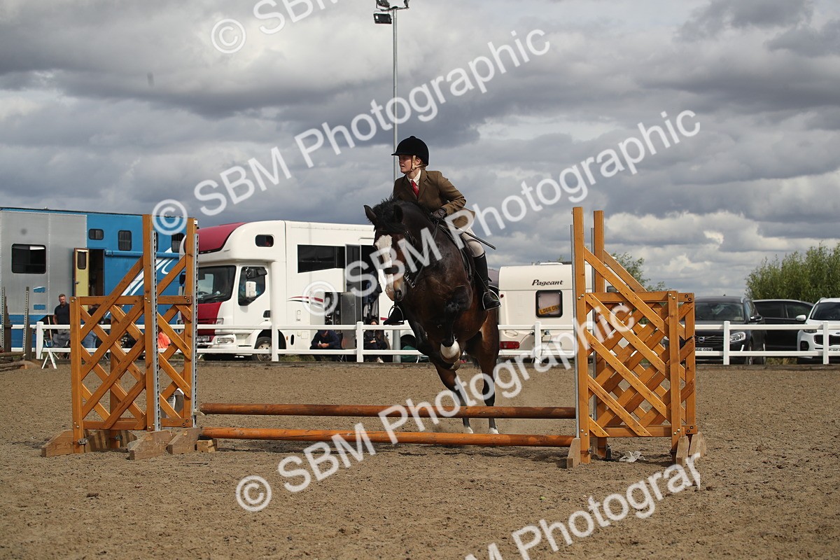 SBM_14502 - Class 505a - M&M Working Veteran - 50cm (15-19)