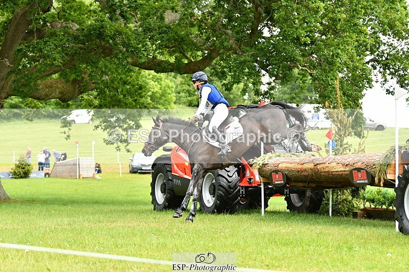 250525A-121620-16632 - D-409-Kirsty.Chabert-HERALDIKS.GIRL.OPPOSITION
