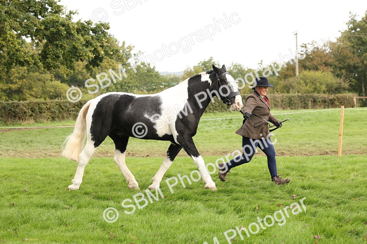 SBM_57488 - S56 - Show Cob in Hand