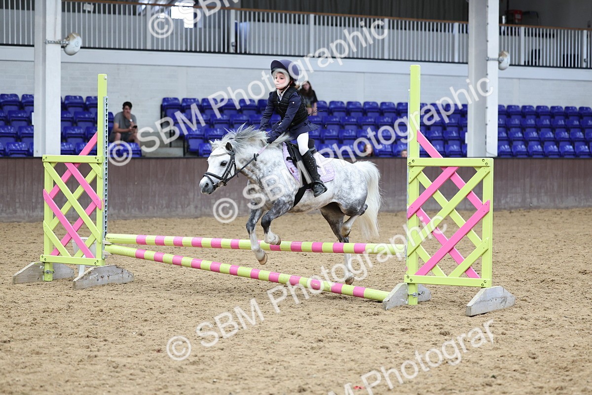 SBM_007731 - Class 3 - 60cm showjumping