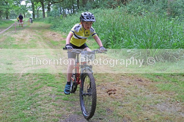 566 - MTB East Round 5 Gallows Green 25th May 2025 Under 7s Under 9s Under 12s Races 08:45 – 9:35
