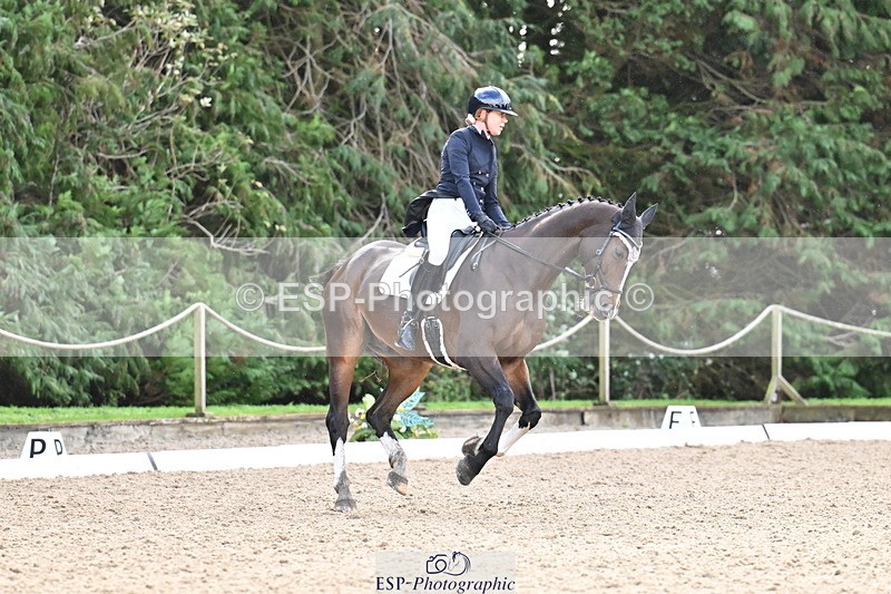 251023A-105105-01104 - C-223-Toots.Bartlett