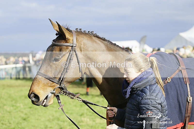 PtP 050322 750 - The Beaufort Races Didmarton 05/03/22