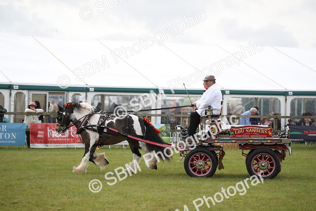 SBM_07003 - Class 16 - Light Trade