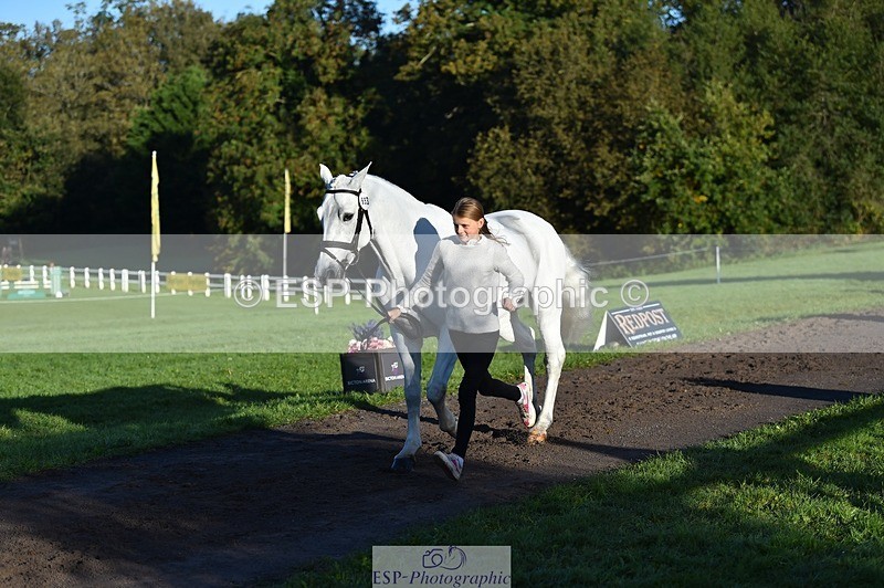 231022-092128-21726 - 653-GREYΓÇÖS.VILLAGE.MELODY-Annabel.Ridgway-TrotUp+SJ