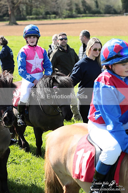 Shet 060426 362 - Shetland Pony Racing Paxford Races Easter Mon 06/04/26