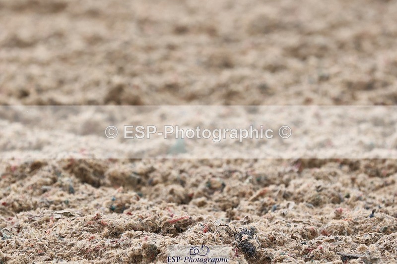 250622-122508-15173 - Cls 47 Novice 5, 11.30am to End