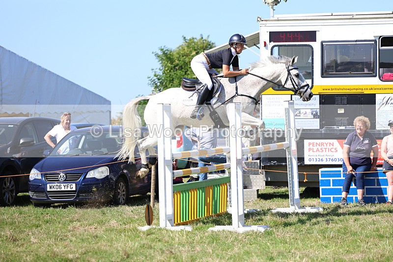 3E7A6394 - Class 13: Senior Newcomers/1.10m open