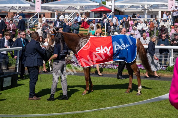 160525-Race 3-Kon Tiki-6388 - Race 3 3.13pm Sky Bet Fillies' Stakes