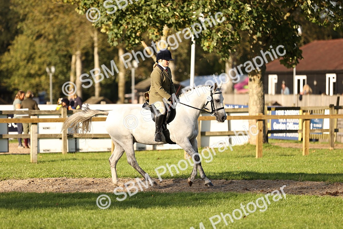 SBM_29597 - S7 - Novice & Newcomers Ridden Pony