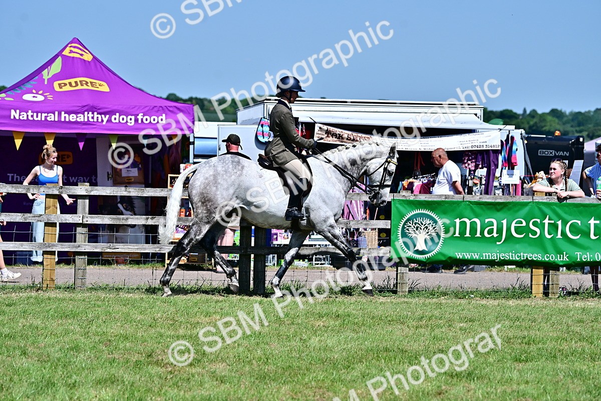 SBM_18202 - Class 99-100 - Retraining of Racehorses Ridden