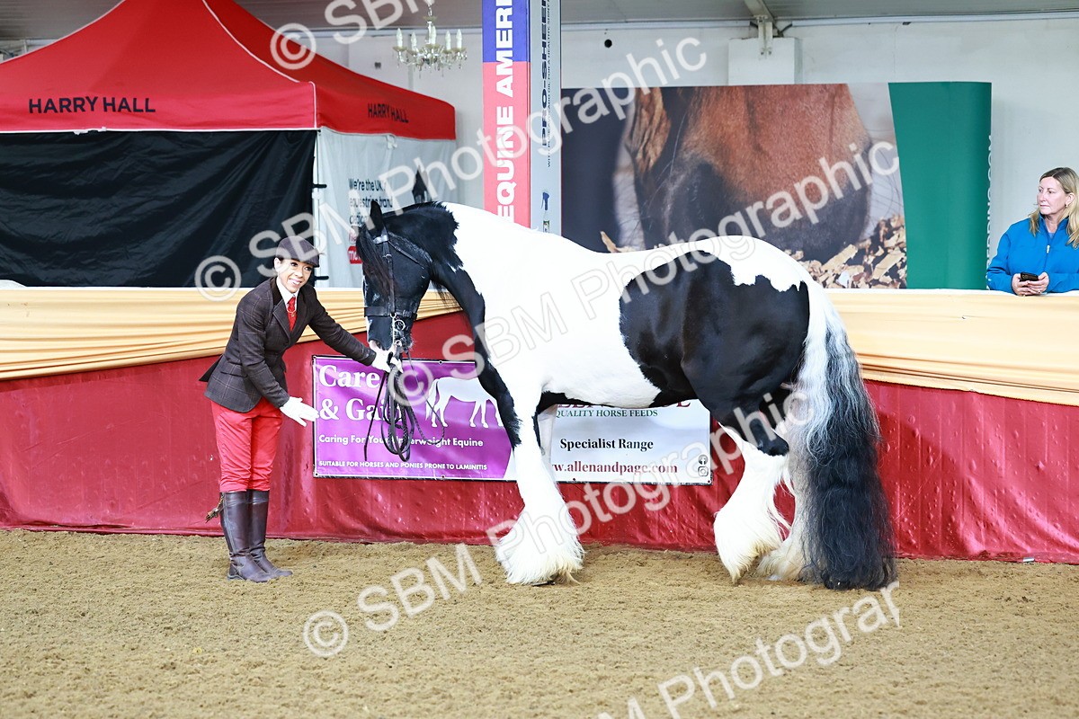 SBM_21687 - Class 901 - Supreme Final - IH  Diamond