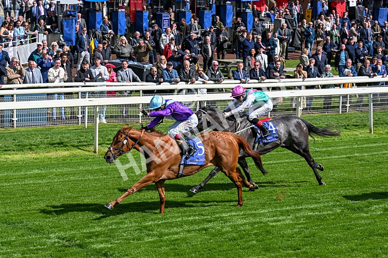 140526-Race 4-See The Fire-0210 - Race 4 3.30pm Al Basti Equiworld Dubai Middleton Fillies' Stakes