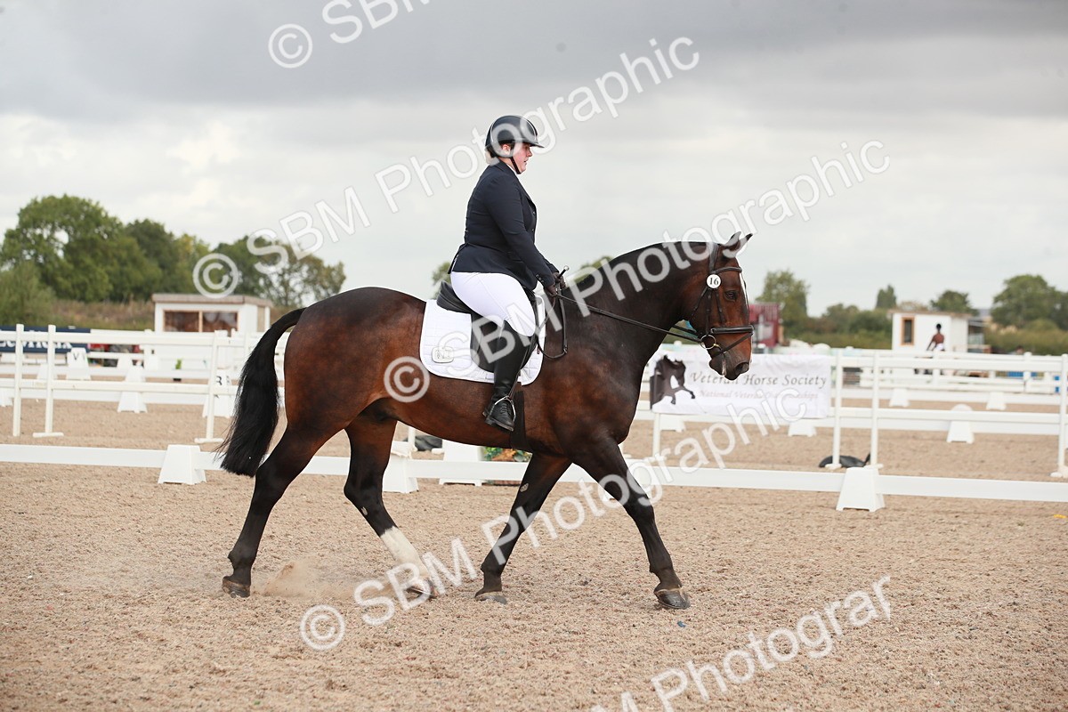 SBM_03850 - Class 31 - Prelim 1