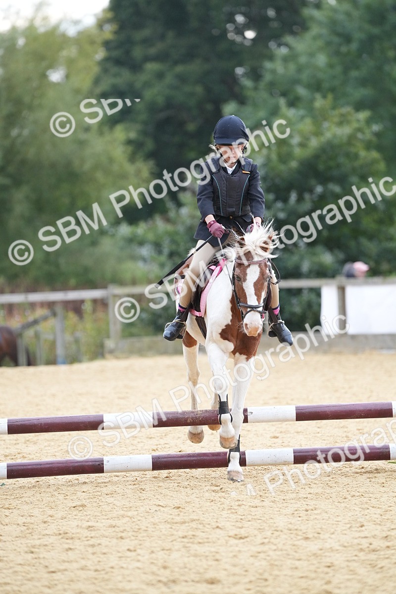 SBM_74666 - J4 - Mini Tour Junior Pony 45cm Championship