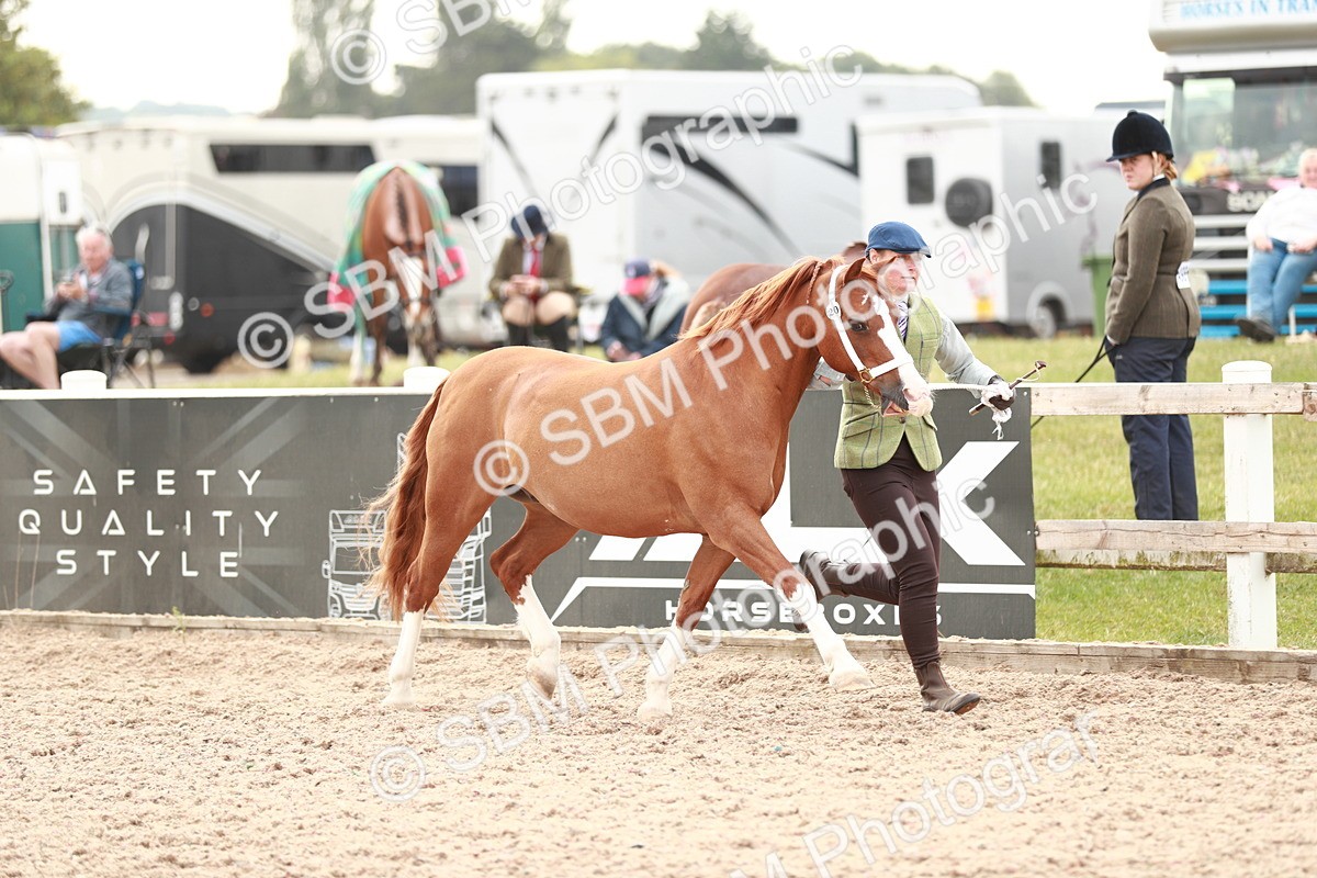 SBM_12476 - Class 207 IH M&M