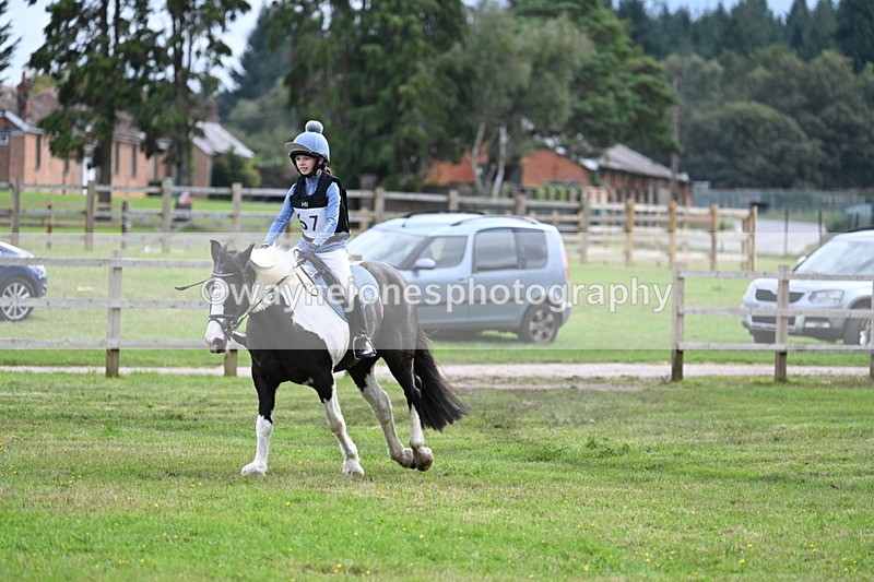 WJ7_9015 - 60cm Time 12:31 to 12:50