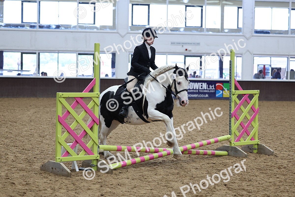 SBM_007033 - Class 1 - 40cm showjumping