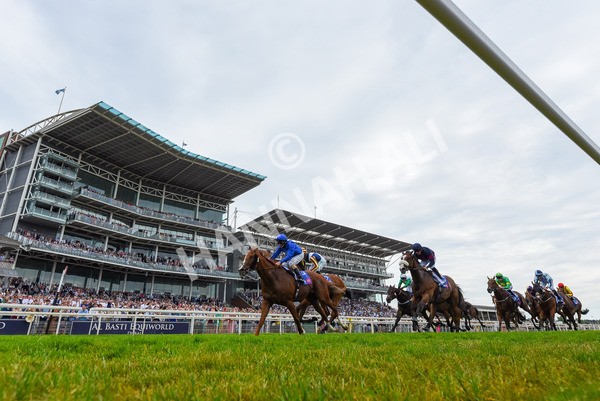 170623-Race 2-Wild Lion- - Race 2 2.35pm Sky Bet Handicap