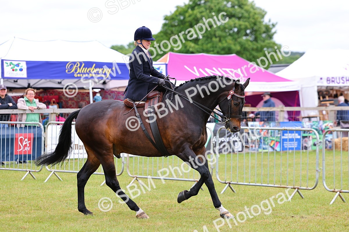SBM_02817 - Class 9-11 Side Saddle including LIHS Rising Star Ladies Show Horse