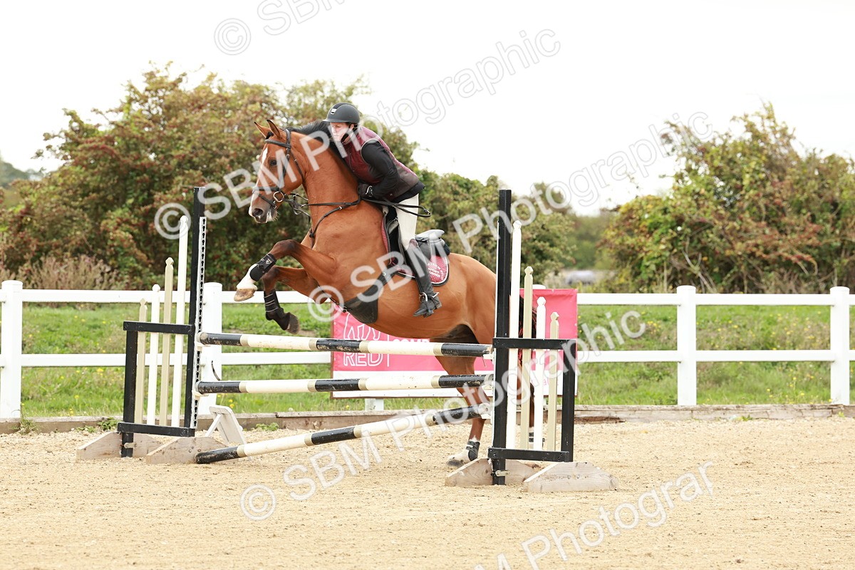 1I0A6759 - Class 2 - Senior British Novice