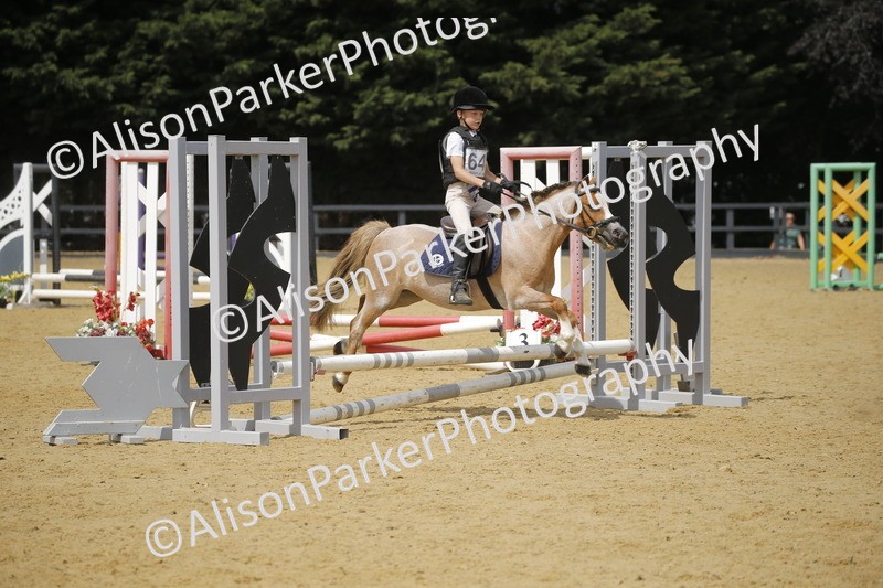 20250622-4073 - 50cm