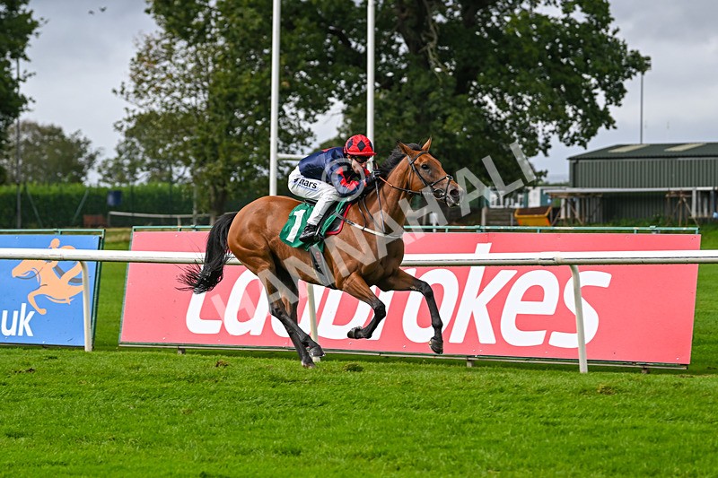 150925-Race 1-Max Of Stars-2207 - Race 1