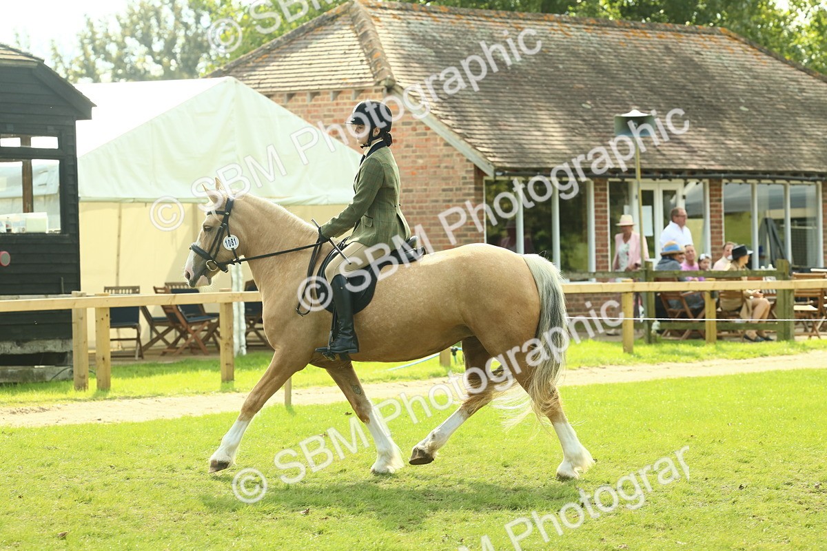 SBM_62657 - S63 - Other Coloured Horse Ridden