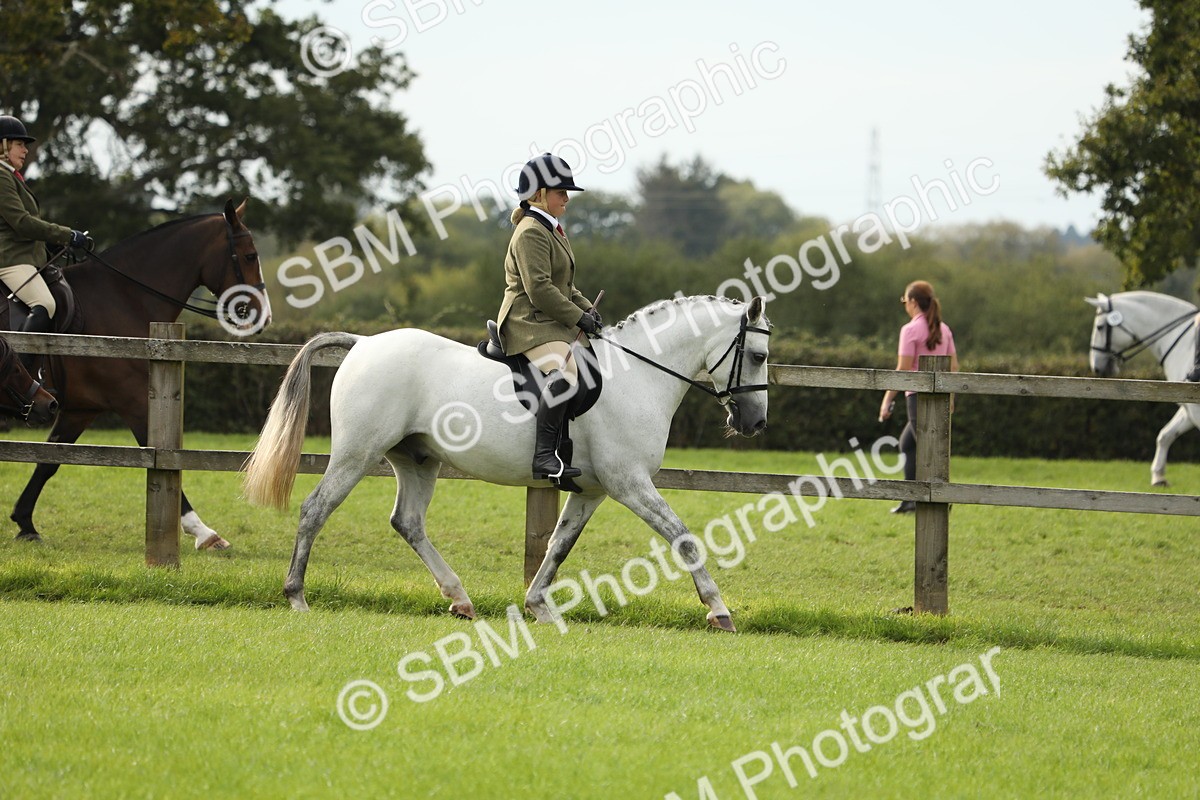 SBM_71486 - S41 - Ridden Equitation (Best Rider)