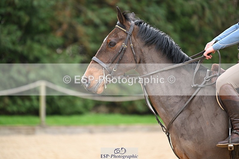 250309A-092954-00195 - Cls 01 70cm 09.00 to CW