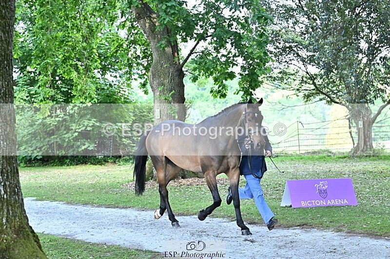 250521A-160807-00929 - C-205-Harry.Meade-IF.IN.DOUBT