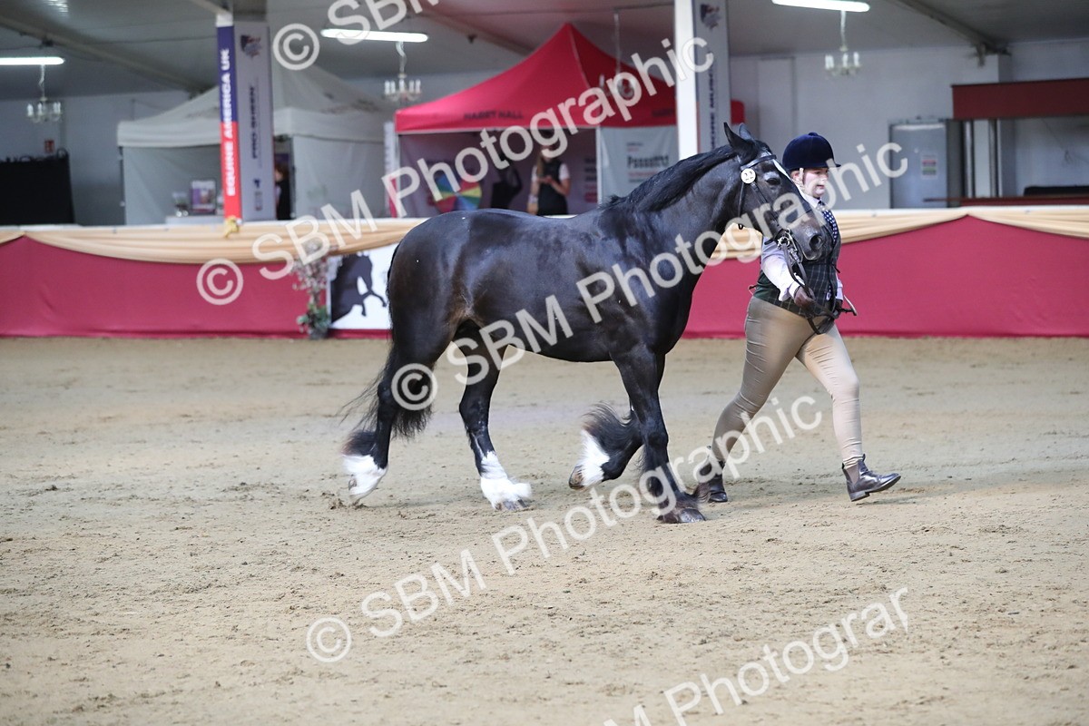 SBM_00559 - class 2a Area IH Veteran