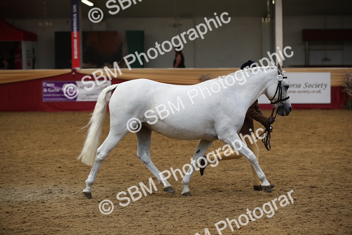 SBM_05368_Class 8r - Regional - IH Veteran - Vicky Gutteridge