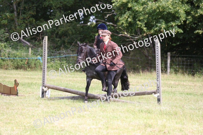 20260614-0580 - Class 20 - Beginners Working Hunter Pony